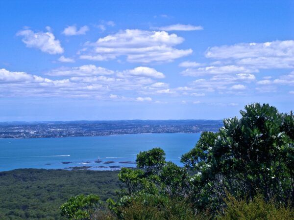 שמורת אי רנגיטוטו, ניו זילנד; Rangitoto Island, NZ Photo: 8 Feb. 2008