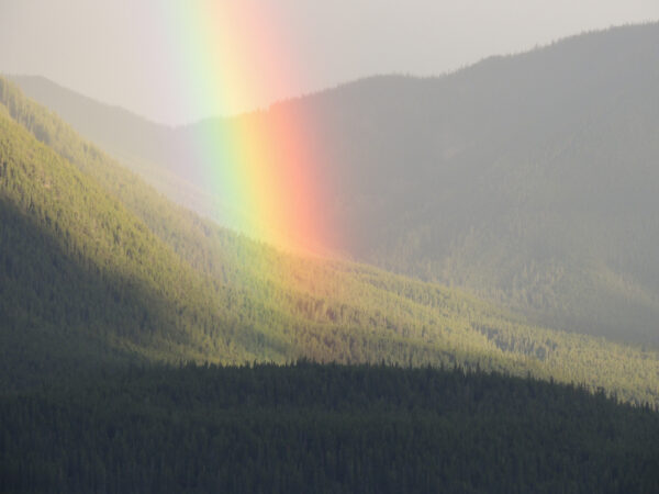  Rainbow near Mount Michener, Alberta. Photo: Kevin M Klerks Rainbow