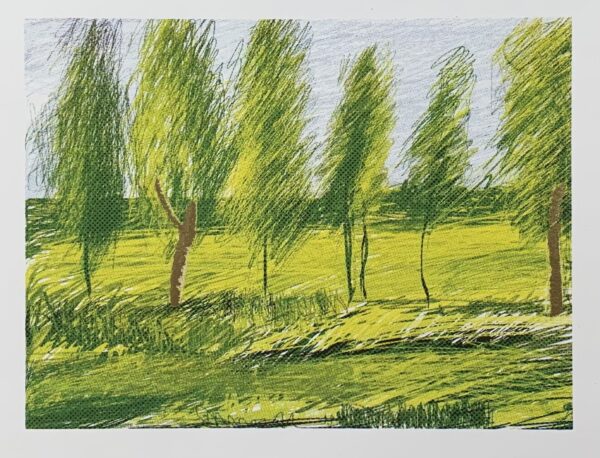 Woods with a Touch of Gold