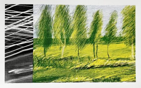 Woods + Destruction