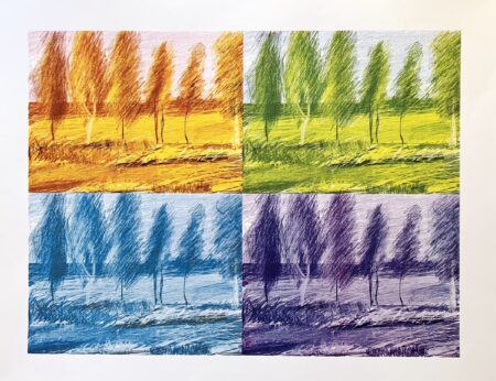 Dawn to Dusk - Seasons